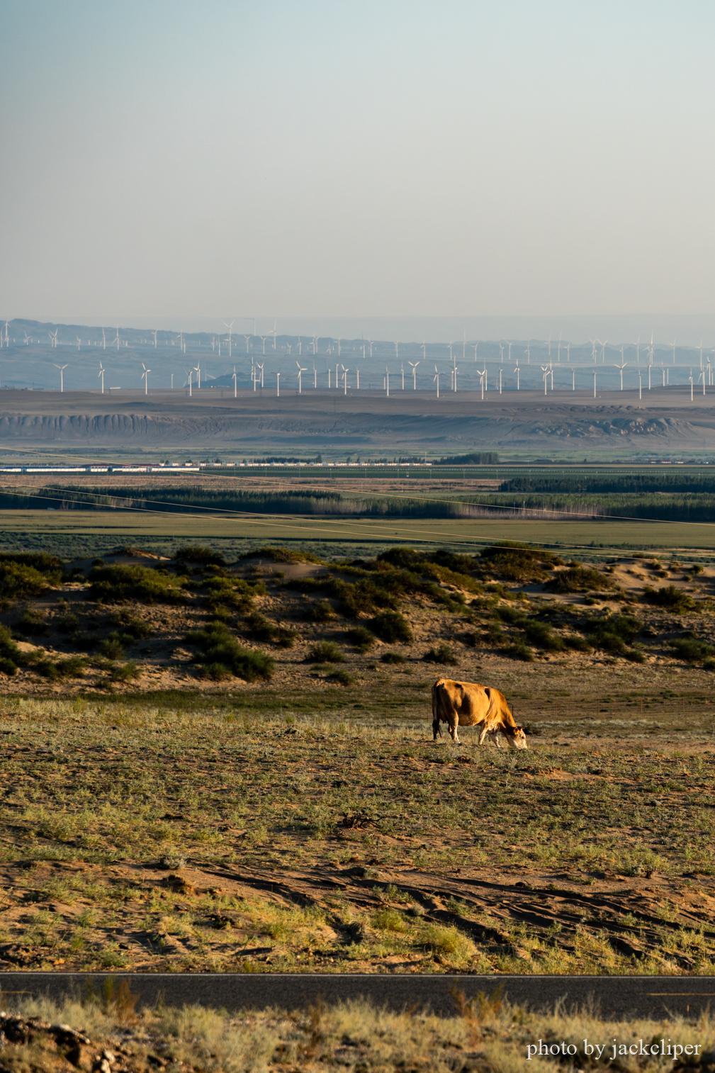 新疆-阿勒泰-喀纳斯湖