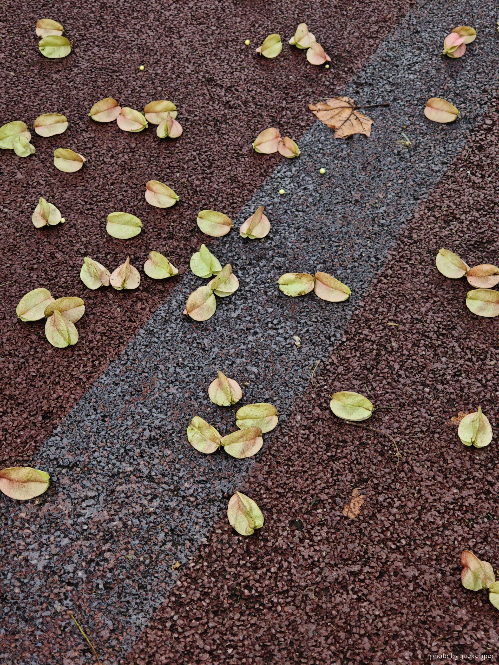 贰〇贰伍年 拾月 第叁周