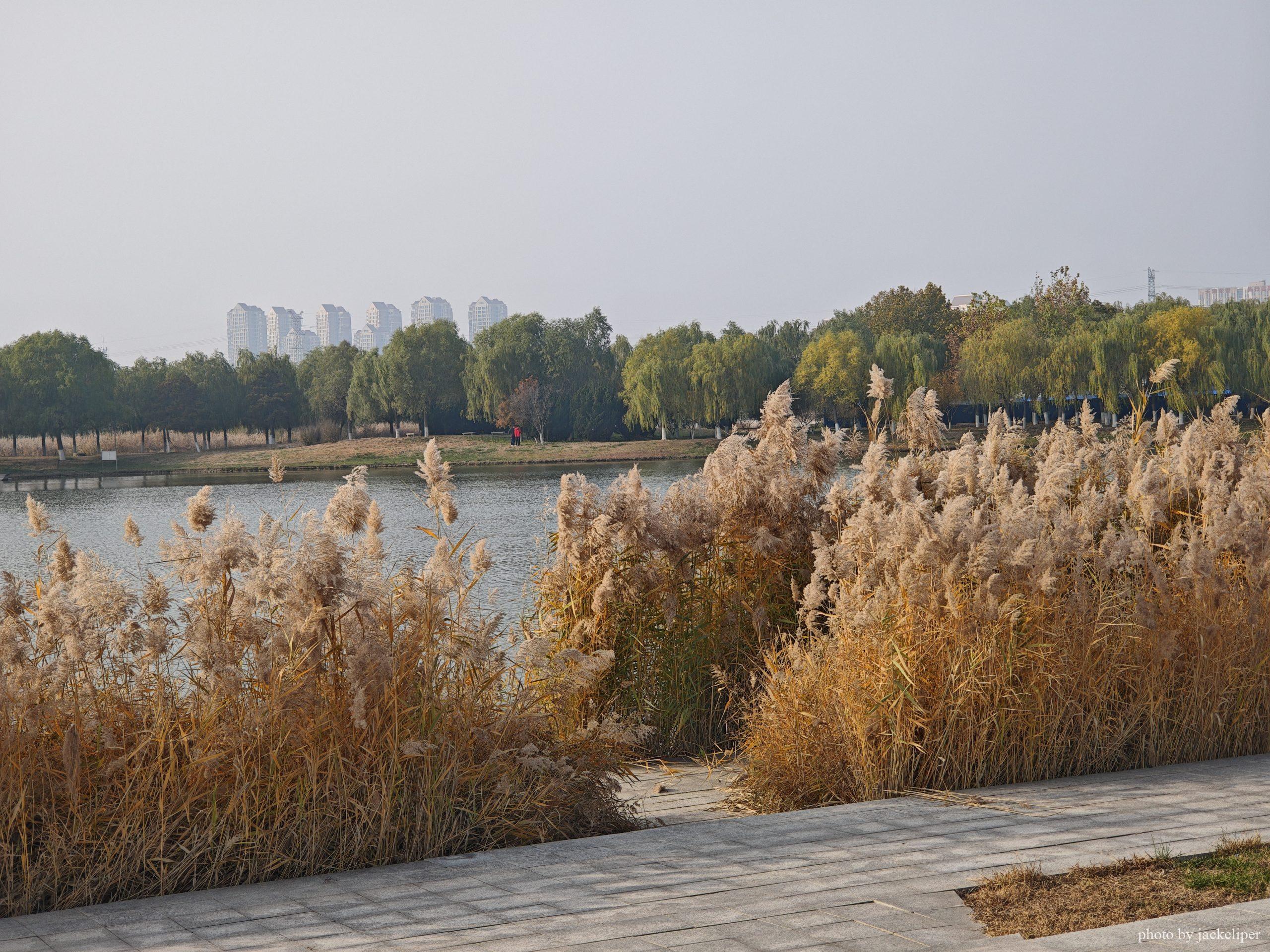 贰〇贰伍年 拾壹月 第壹周