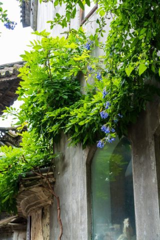 DSC02141-13