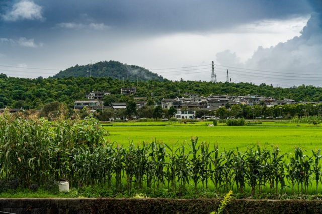 DSC02149-18
