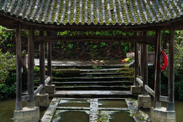 DSC02156-21